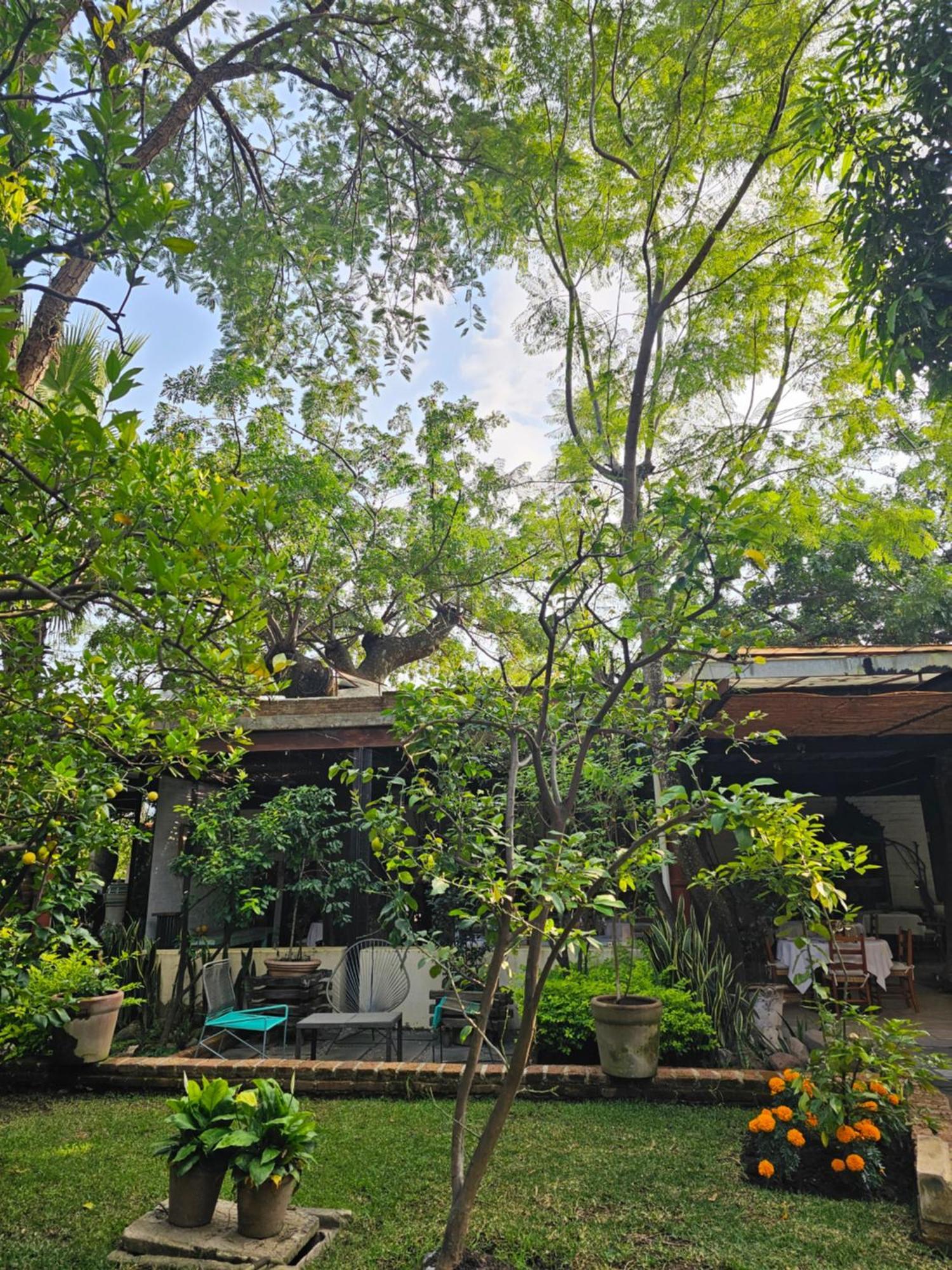 Hotel Casa Limon Malinalco Esterno foto