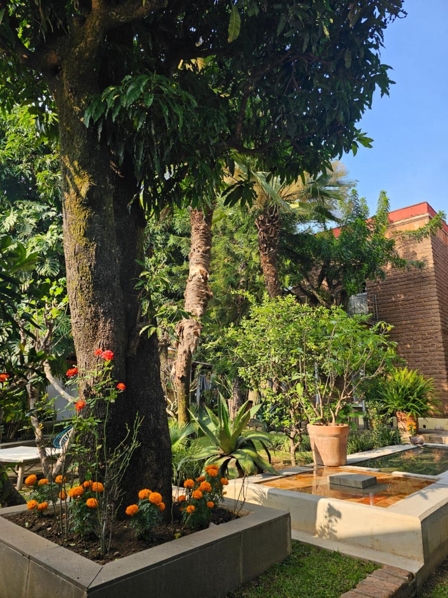 Hotel Casa Limon Malinalco Esterno foto