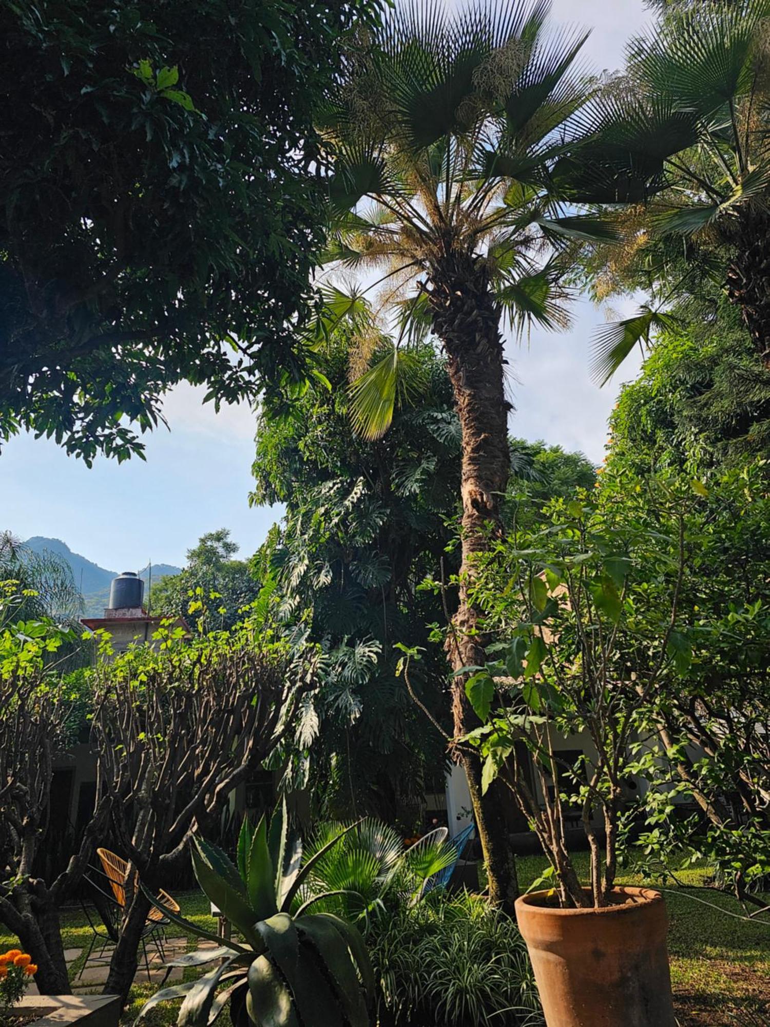 Hotel Casa Limon Malinalco Esterno foto